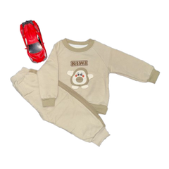 Imported Beige Kiwi Cartoon Sweatshirt and Pants Set for Kids